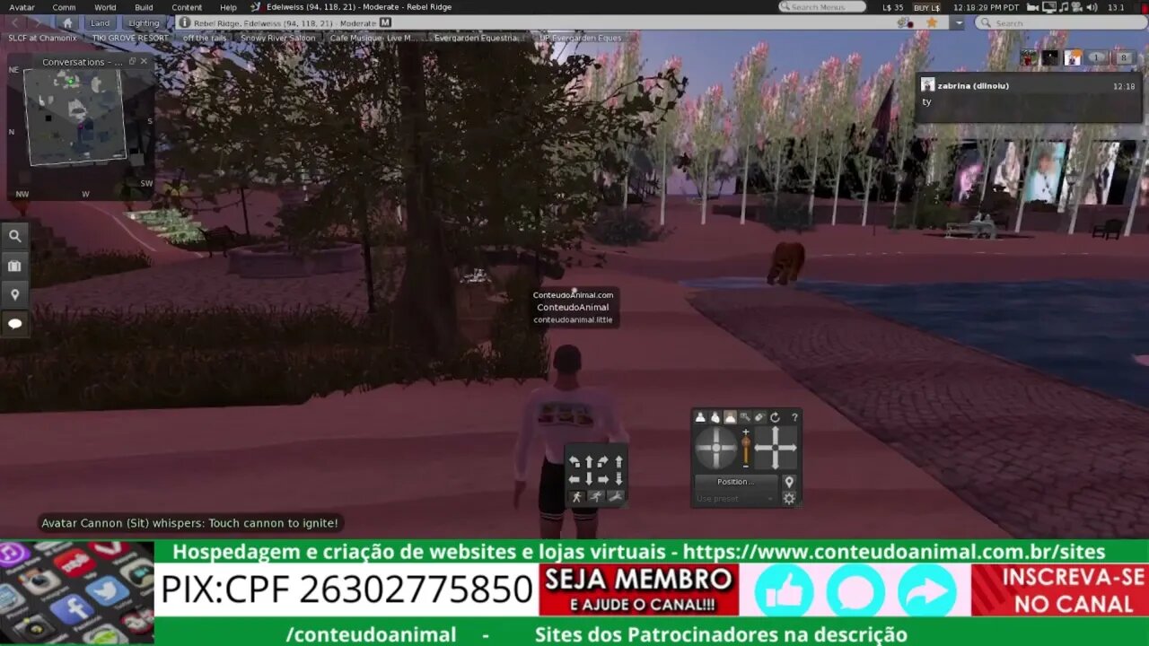 canhão no second life :-)