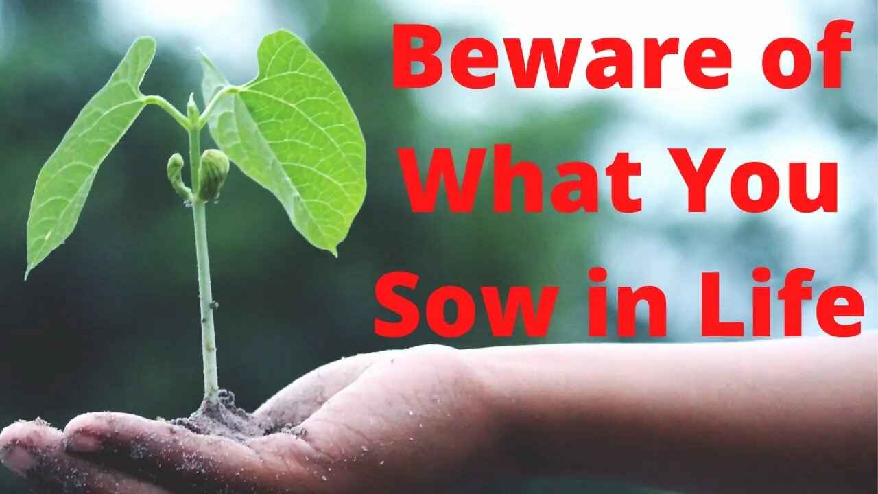 Beware of What You Sow in Life | Ewaenruwa Nomaren