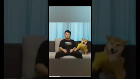Dog and mom