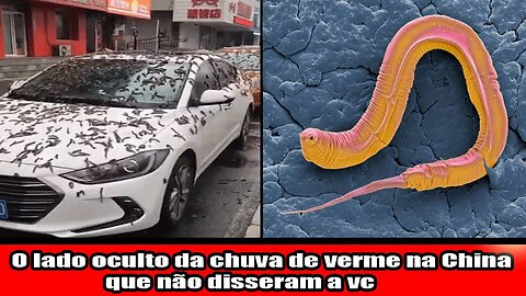 O lado oculto da chuva de verme na China que não disseram a você