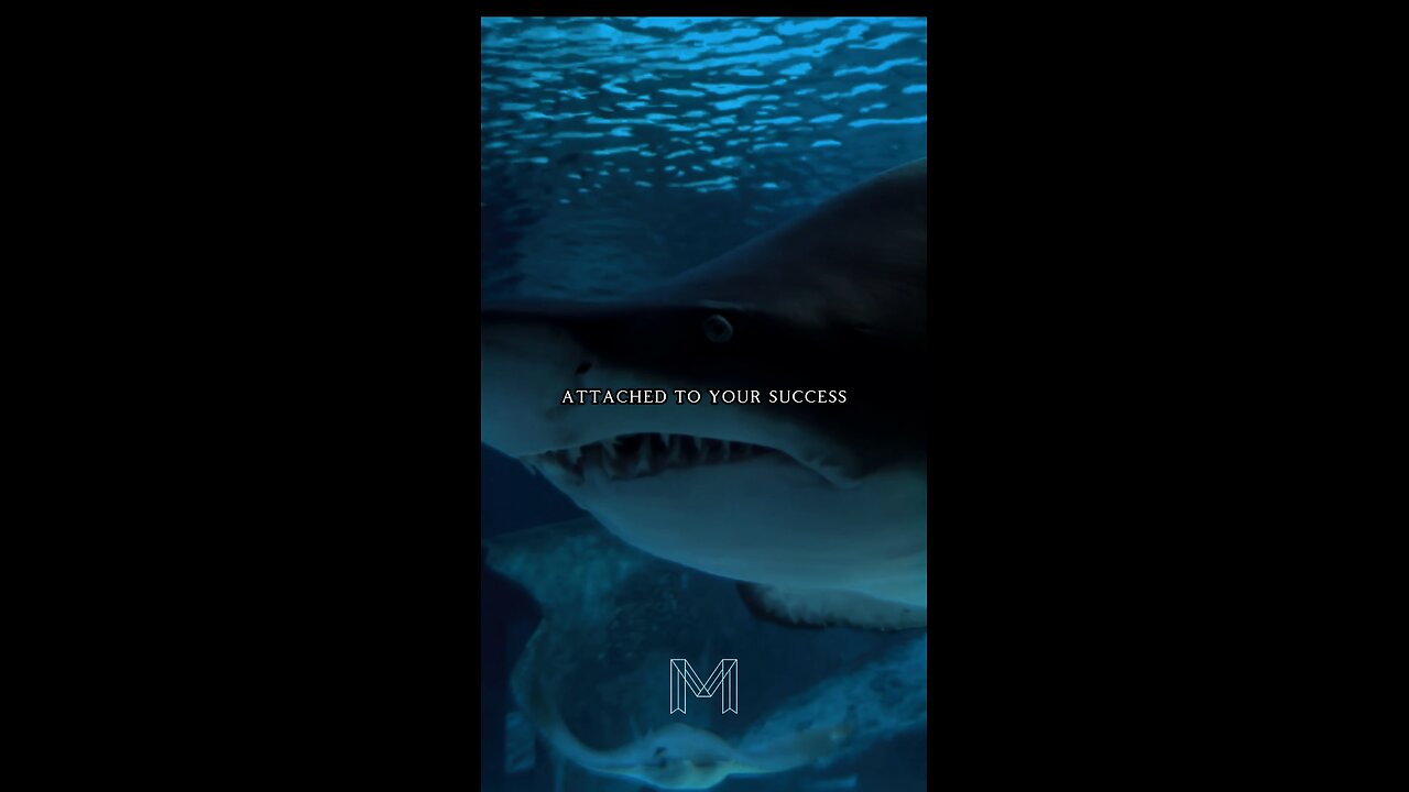 Adapt to Loneliness In Your Success