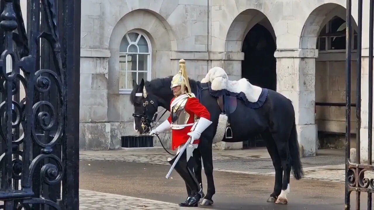 Only one horse for the dismount #horseguardsparade