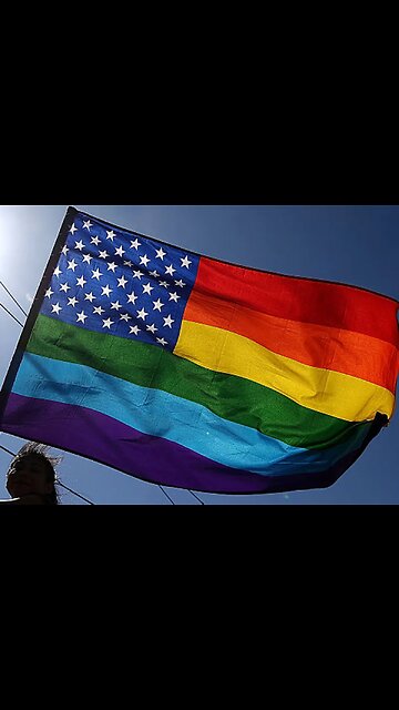 Ecco cosa significano alcuni tipi di bandiere del pride dei sodomiti LGBTQ 🏳️‍🌈 DOCUMENTARIO le bandiere per i diritti dei sodomiti LGBTQ non sono bandiere statali e possono essere deturpate e bruciate senza commettere un reato