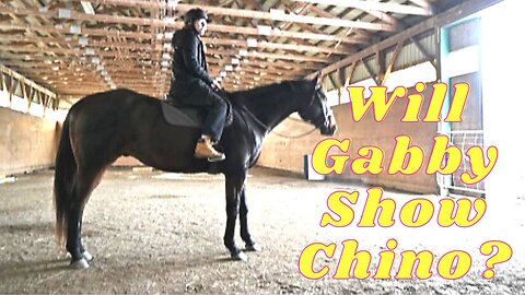 Our Plans For Show Season This year!