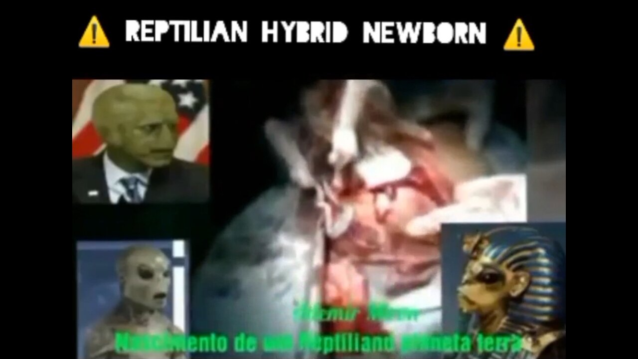 REPTO HYBRID - REPTILIAN NEWBORN FROM THE DUMBS