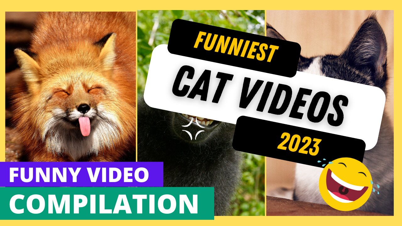 Top Funny Animal Videos 2023 #rumble