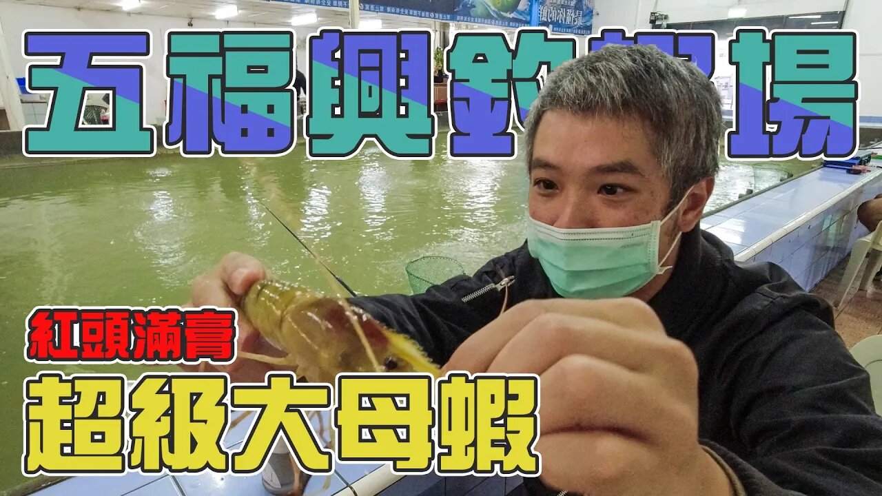 【台客去釣蝦】原本以為是親子休閒場！開單釣下去怎會從頭忙到尾！feat.五福興親子休閒釣蝦場