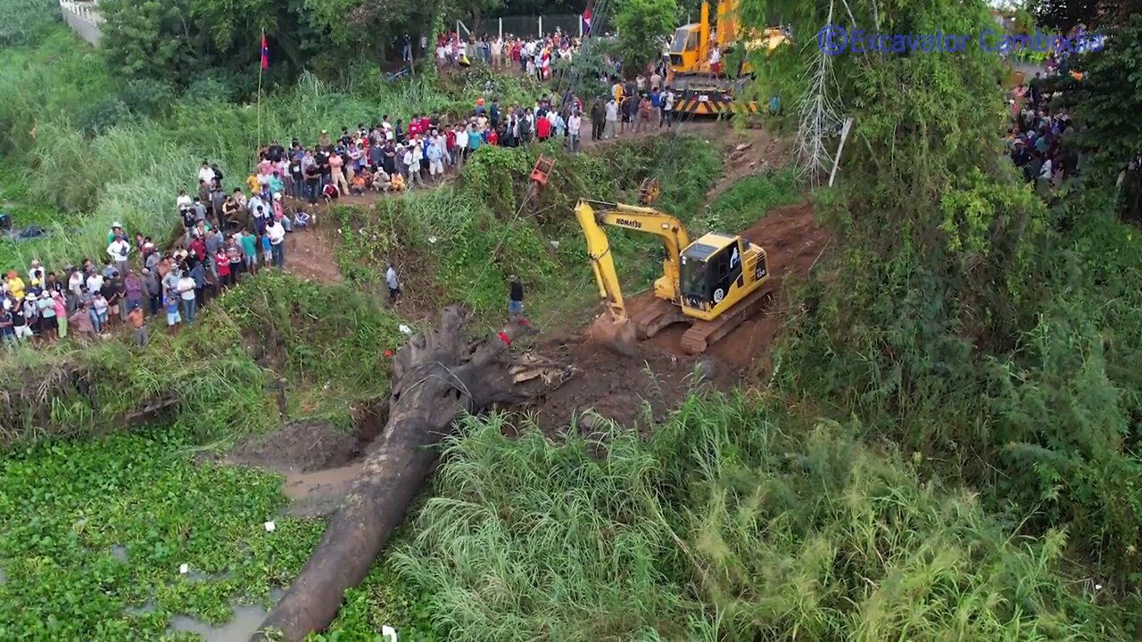 Impressive Excavator And Double Crane Use His Power Recovery Big Tree Sink Deep Water Successfully