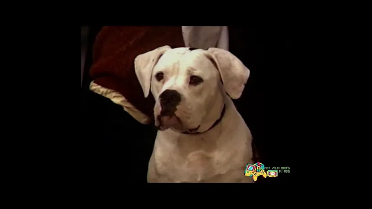 Homeward Bound: The Incredible Journey (1993) VHS Trailer