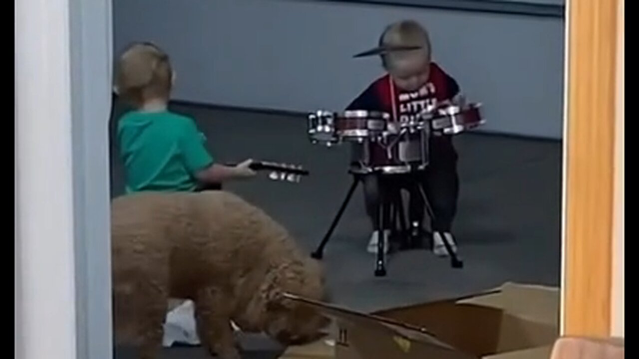 These Two Brothers Started A Band