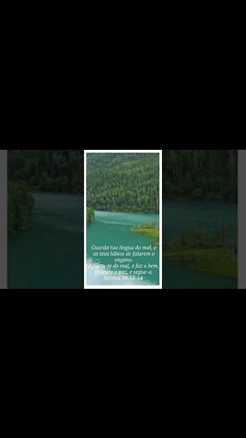 VERSÍCULO DO DIA 15/09/2022.#shorts