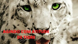 QUANDO NÃO TEMOS SAIDA ACHAMOS SOLUÇÕES youtube