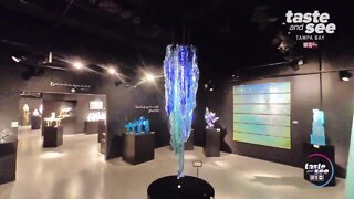 Drone Zone: Imagine Museum in St. Pete | Taste and See Tampa Bay