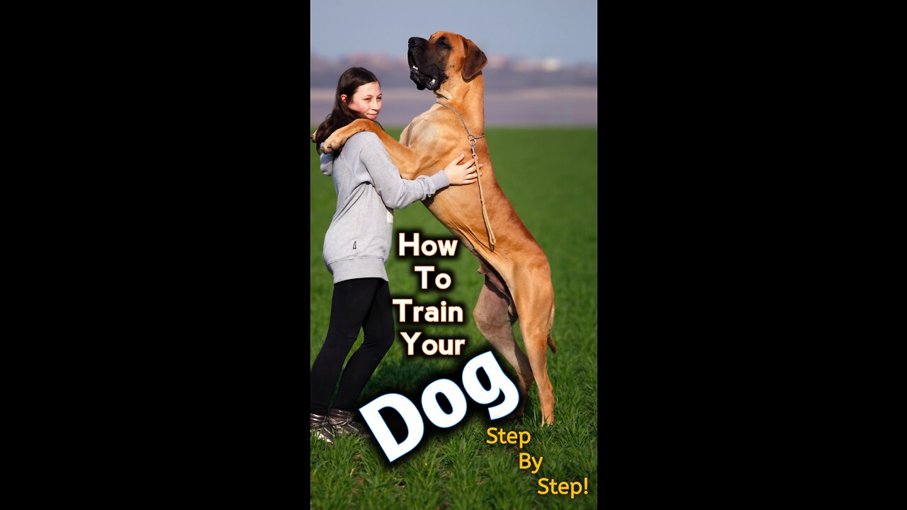 How To Train A Dog|Dog Training Program| Guard Dog Training step By Step!|