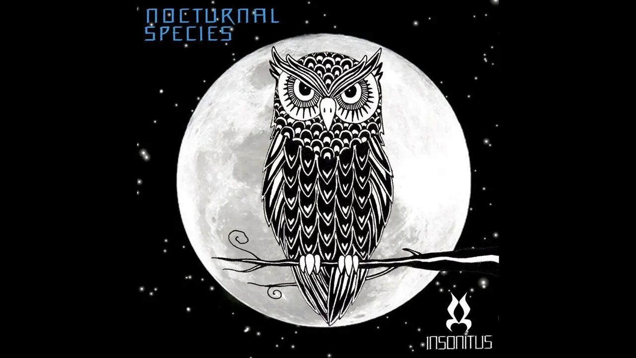 Reflection - Creatures Of The Forest