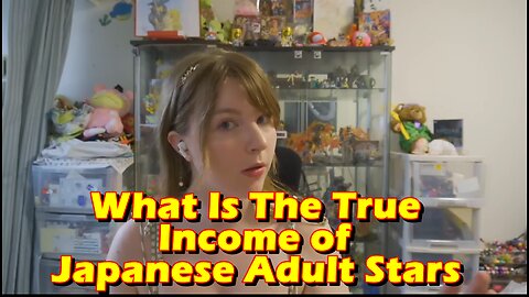 What Is The True Income of Japanese Adult Stars