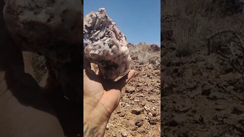 great week prospecting