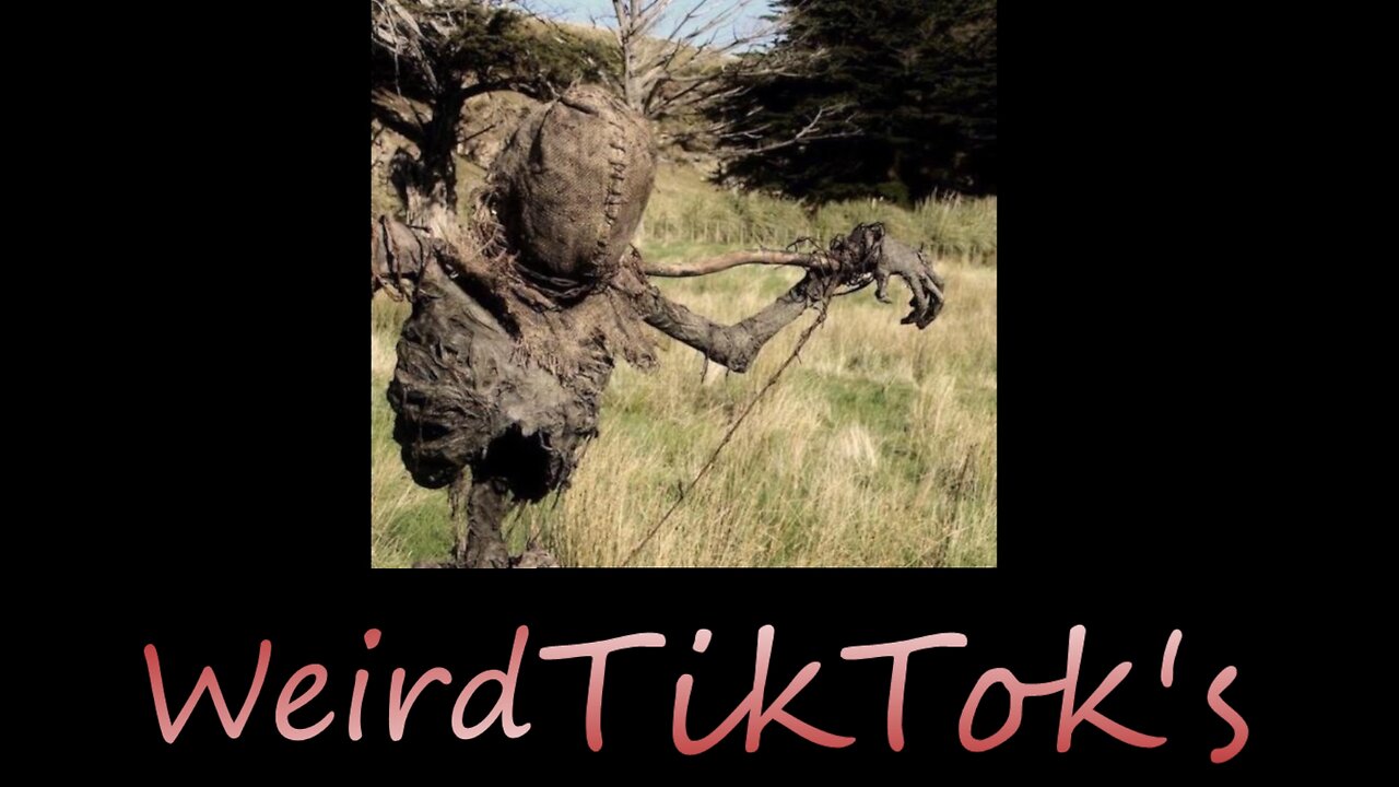 Weird TikTok's that will make you think pt 2 #tiktok