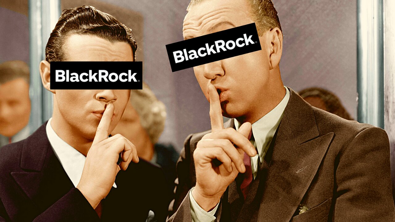 BlackRock, The Real Life Illuminati? | This Company owns the World!