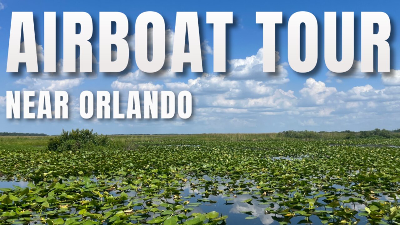 Wildlife Extravaganza: Our 45-Minute Airboat Adventure on Lake Tohopekaliga near Kissimmee/Orlando