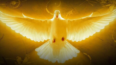 The holyspirit showed me in a dream what's happening on the earth right now!