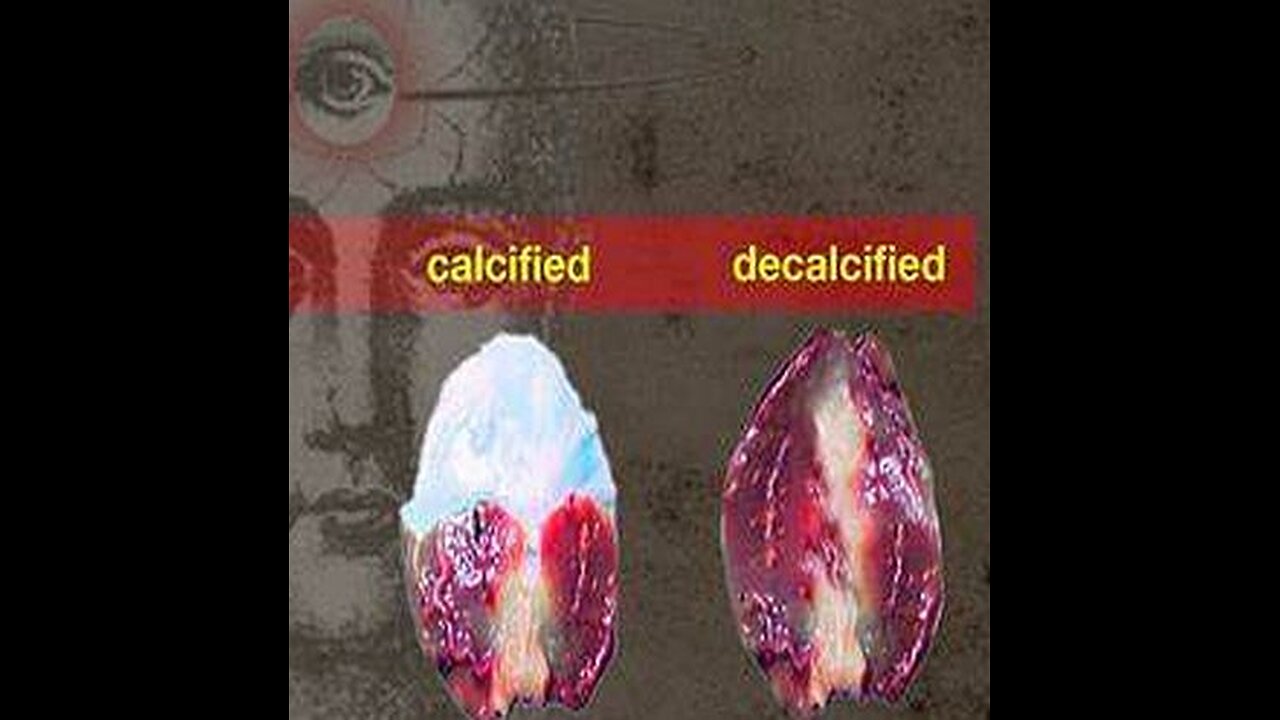 Decalcification kit ready to go. This restores gut to brain communication plus L Reuteri