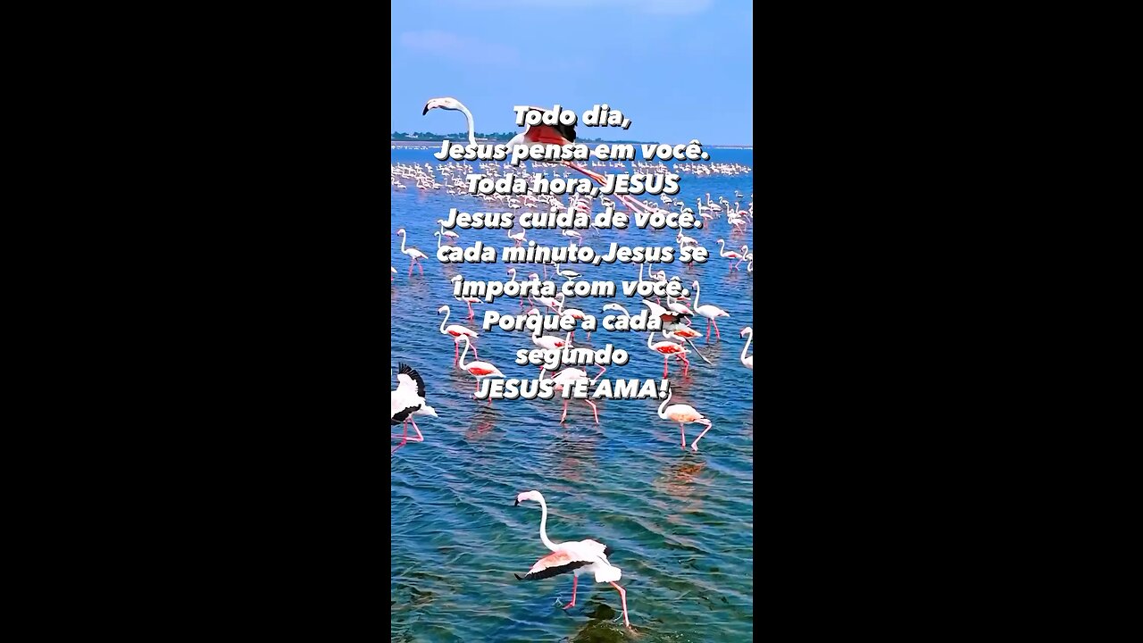 Se ele alimenta os pássaros imagina voce! If he feeds the birds imagine you!