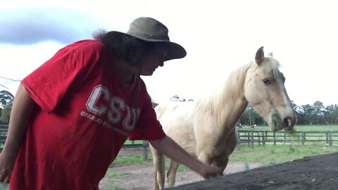 Just more hanging out eating hay