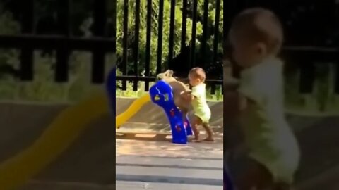 little boy playing with pet dog