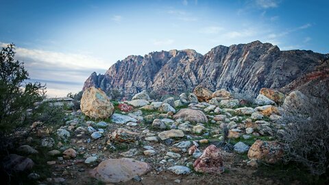 NATURAL ROCK GARDEN