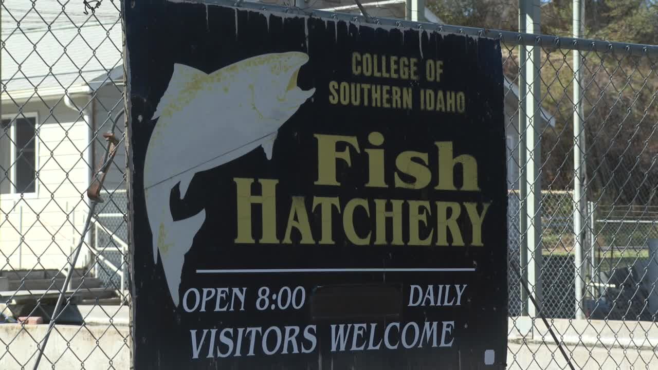 CSI aquaculture program moving to new hatchery in 2023