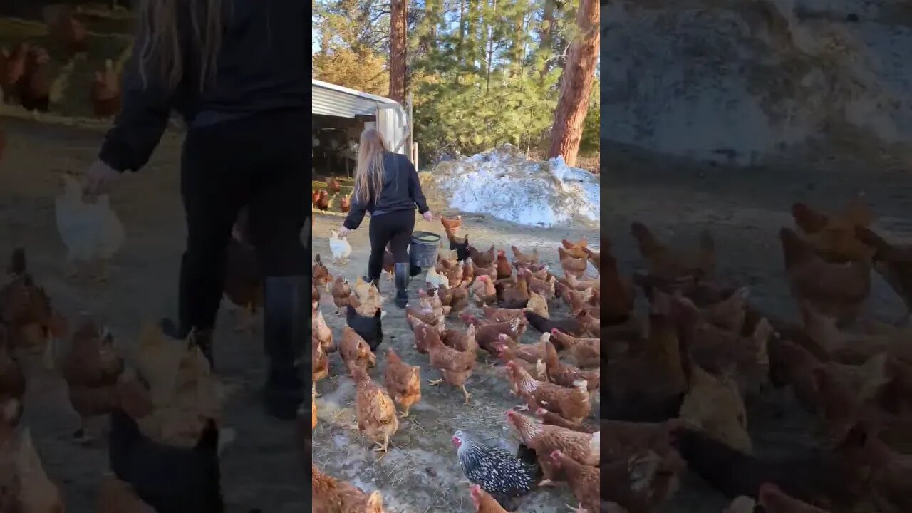 #shorts #dream #life