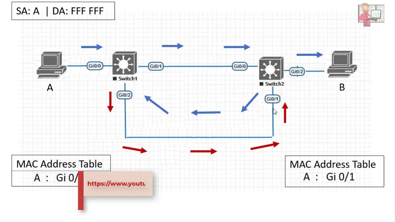 Why You need STP Part1