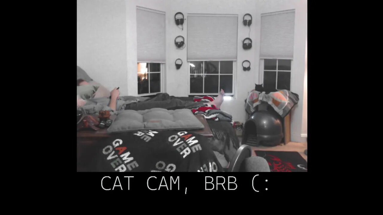 SUNDAY NIGHT STREAM (:
