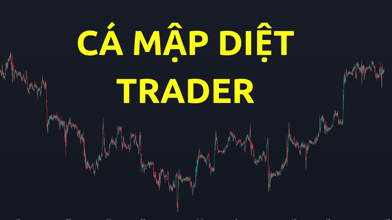 Cách mà cá mập diệt các trader nhỏ lẻ | Trading | Angel