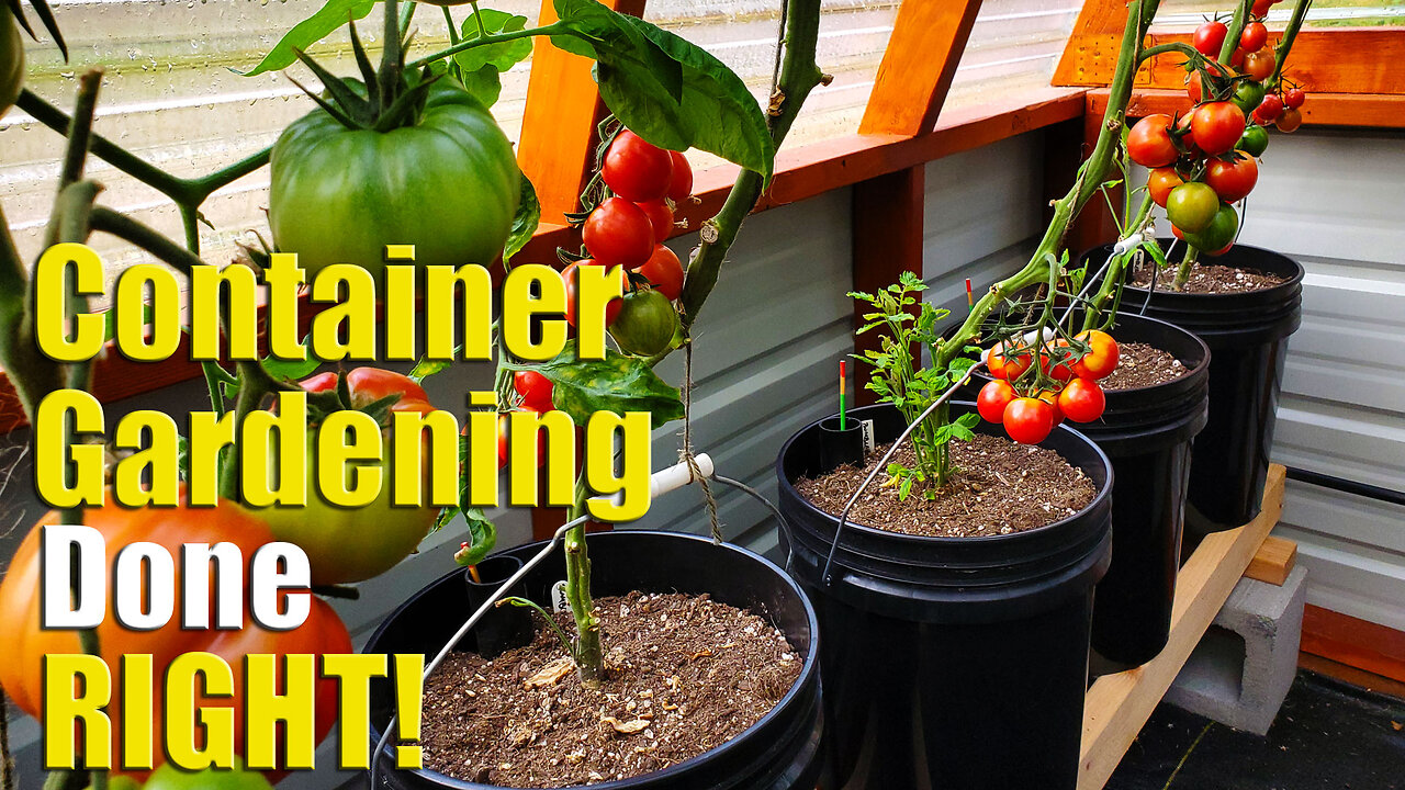 Container Gardening, Done Right | Off Grid Centrally Irrigated GroBuckets