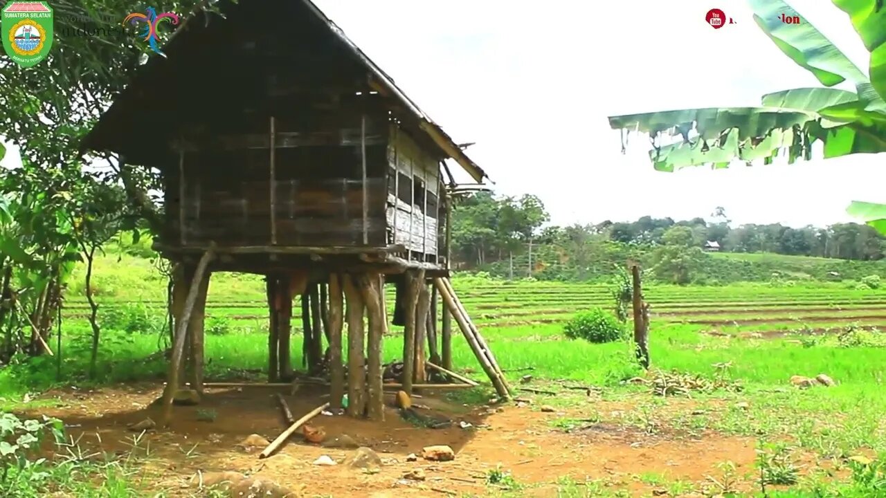 ANSORI & ZUBAIDA - TINGGAL KEKASIH - GITAR TUNGGAL BATANGHARI SEMBILAN MUSI RAWAS SUMATERA SELATAN