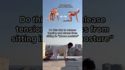 Send this to a friend with bad posture