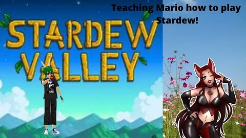 Stardew Valley with Mario Kaiba