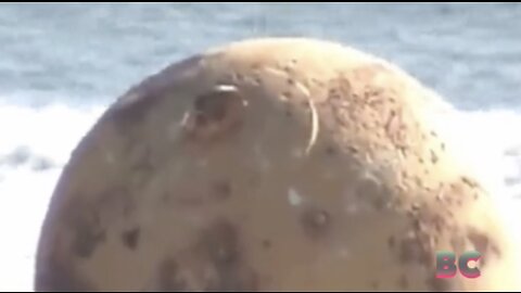 A mysterious, large metal ball was discovered on a beach in Japan, prompting investigation