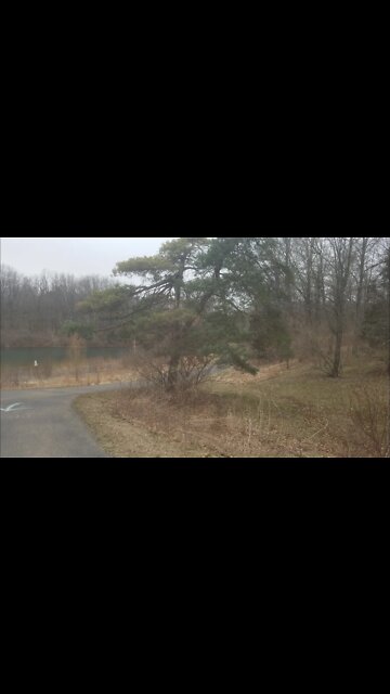 Nature with ninja gamer