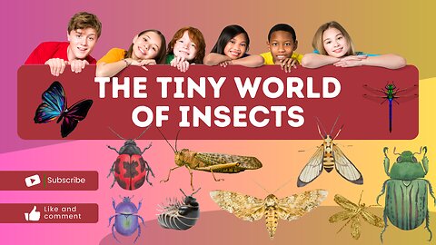 The Fascinating World of Insects