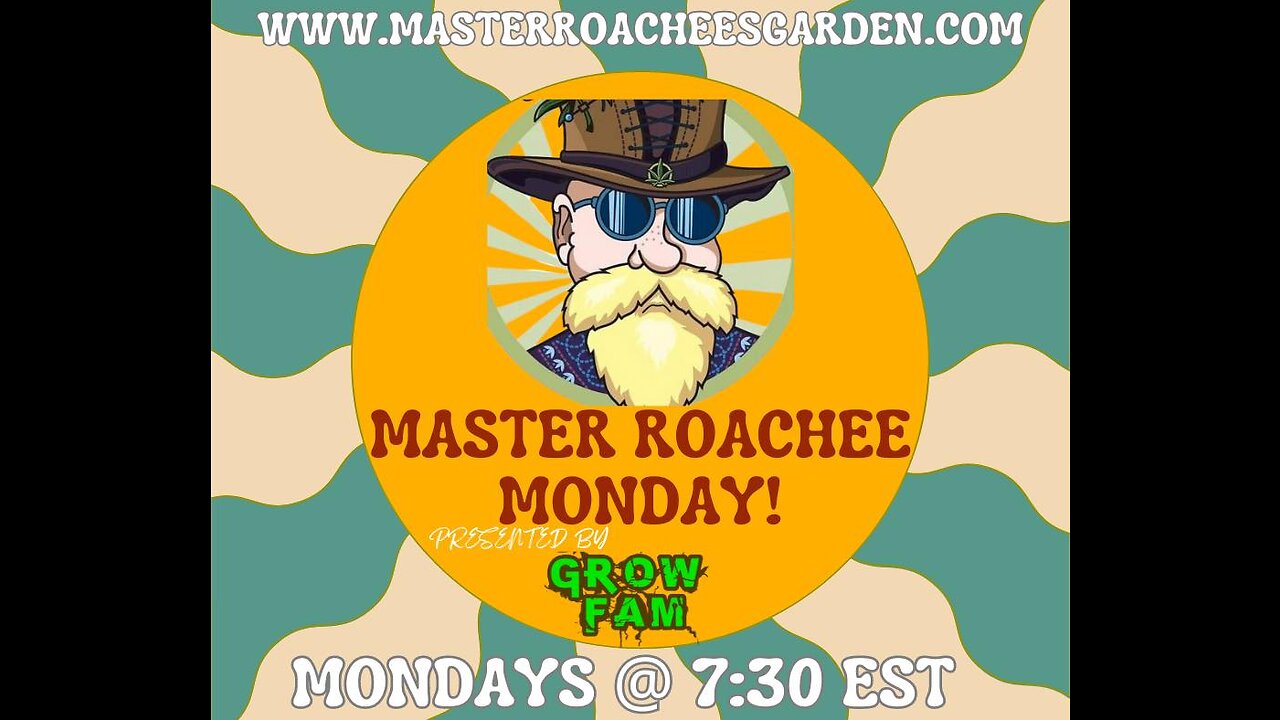 Monday's with Master Roachee