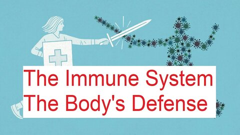 The immune system - part 1