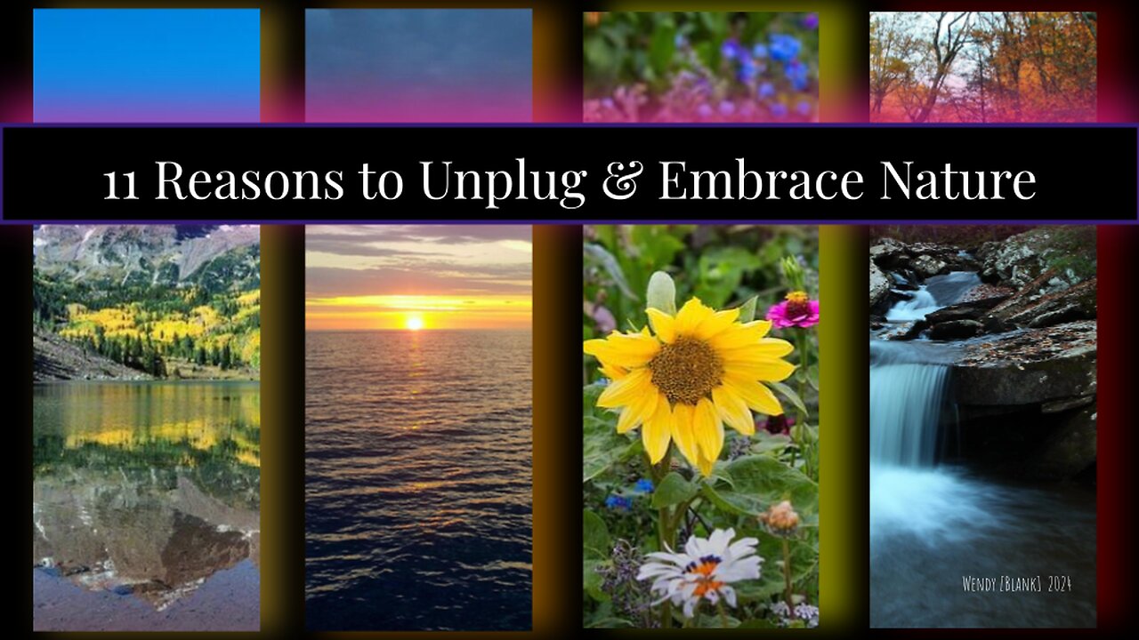 11 Reasons to Unplug & Embrace Nature