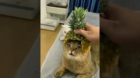 29 октября 2023 г.