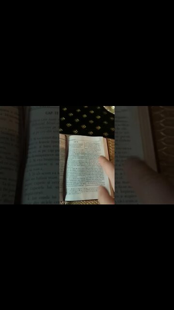 Daily Scripture - Revelation 12 | Psalm 141