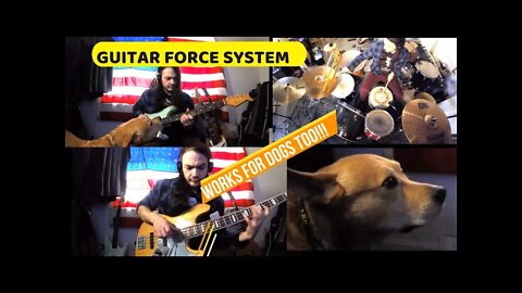 GUITAR FORCE SYSTEM WORKS FOR DOGS TOO!