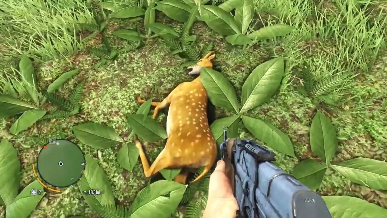 FAR CRY 3 CAÇANDO VEADO SAFADO E ARROMBANDO NAVIO SABIA!