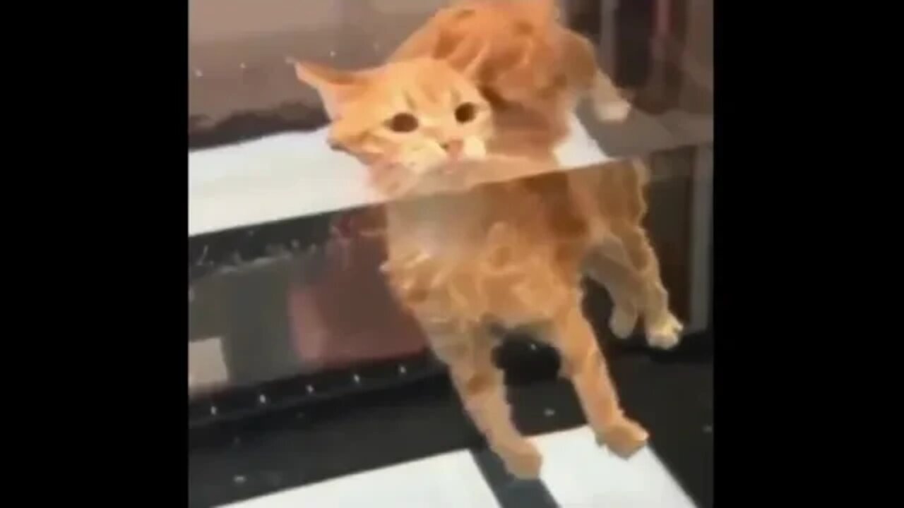 I am one with the void